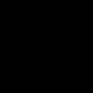 Meet your Posher, Zakiln